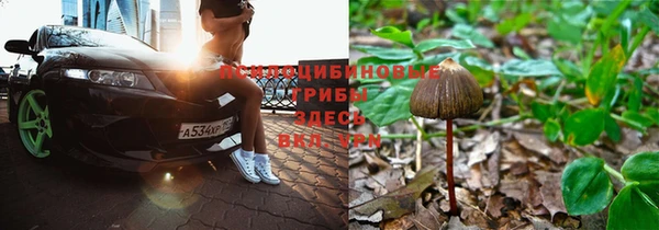 спайс Армянск